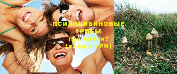 ешки Алексеевка