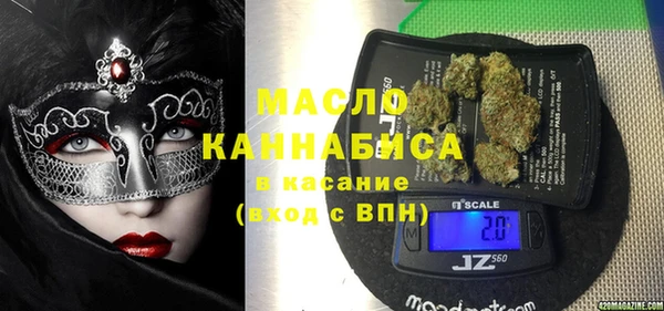 мет Алексин
